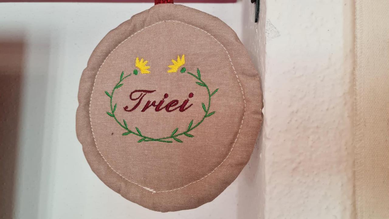 Domu Irene - Triei Leilighet Eksteriør bilde